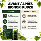 Kudzu BIONORI®